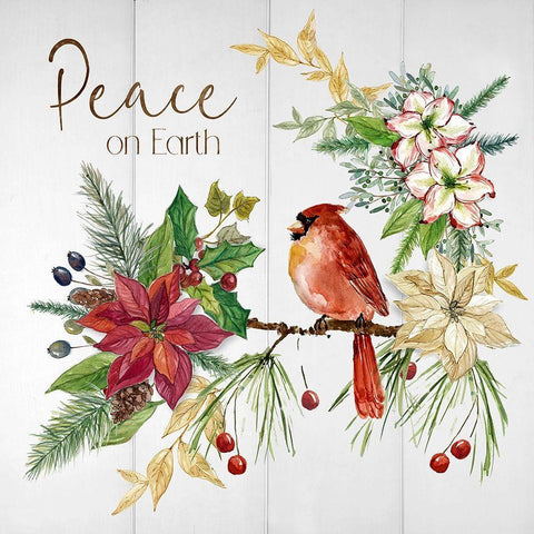 Poinsettia Peace White Modern Wood Framed Art Print by Robinson, Carol