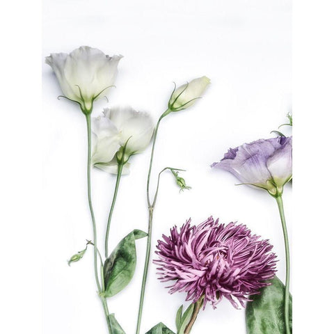 Moderne Jardin II White Modern Wood Framed Art Print by Weisz, Irene