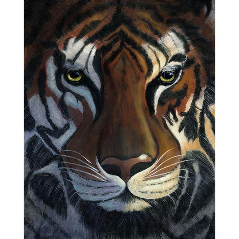 Tiger Stare Black Modern Wood Framed Art Print with Double Matting by Cole, Jan