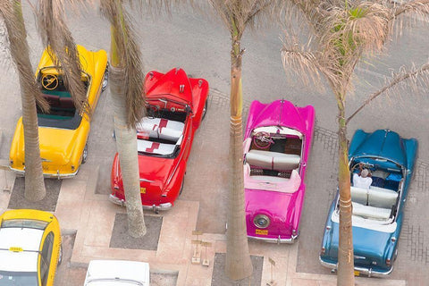 Colorful Classics Black Ornate Wood Framed Art Print with Double Matting by Delimont, Danita