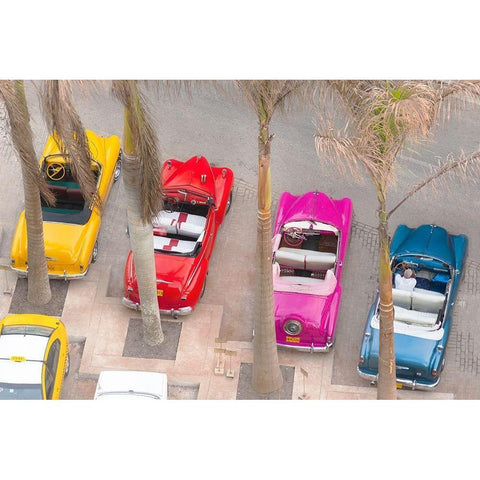 Colorful Classics Black Modern Wood Framed Art Print with Double Matting by Delimont, Danita