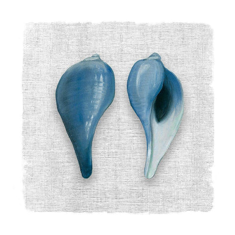 By the Sea Front II Black Modern Wood Framed Art Print by Robinson, Carol