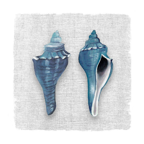 By the Sea Front IV Black Modern Wood Framed Art Print with Double Matting by Robinson, Carol