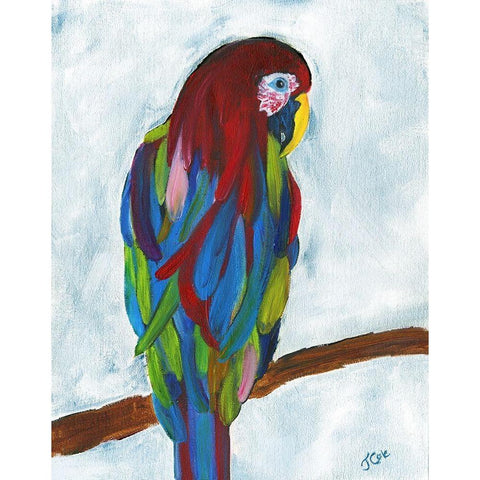Tropical Parrot White Modern Wood Framed Art Print by Cole, Jan