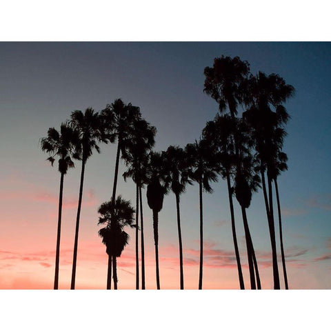 Venice Beach Black Modern Wood Framed Art Print by Carpentieri, Natalie