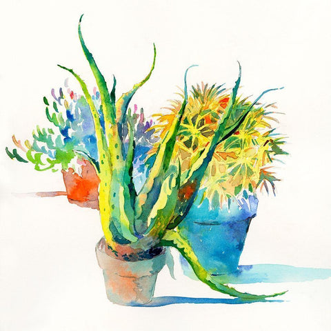 Succulent Trio I Black Ornate Wood Framed Art Print with Double Matting by Troise Heidel, Theresa