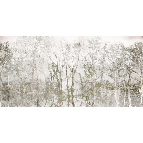 Shimmering Trees Black Modern Wood Framed Art Print with Double Matting by Weisz, Irene