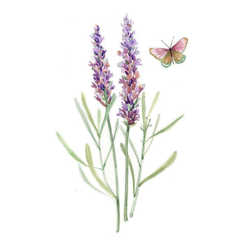 Wildflower Botanical I White Modern Wood Framed Art Print by Robinson, Carol