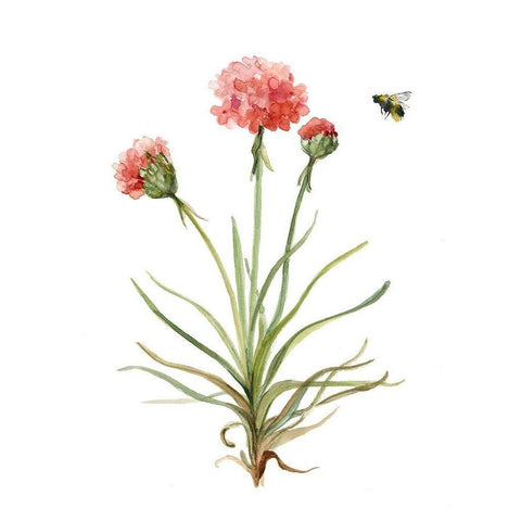 Wildflower Botanical III White Modern Wood Framed Art Print by Robinson, Carol