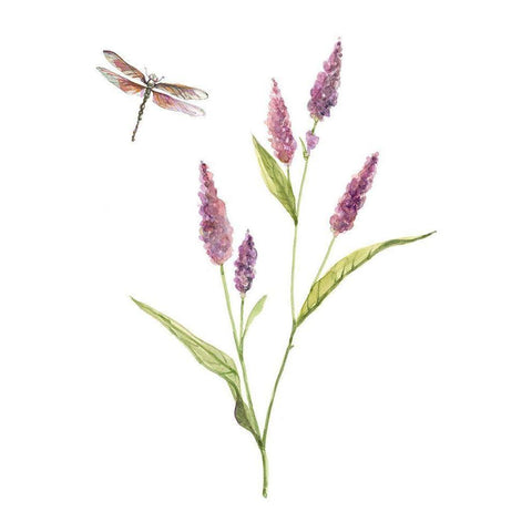 Wildflower Botanical IV Gold Ornate Wood Framed Art Print with Double Matting by Robinson, Carol