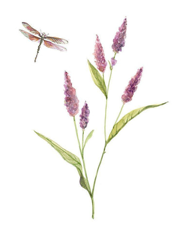 Wildflower Botanical IV White Modern Wood Framed Art Print with Double Matting by Robinson, Carol