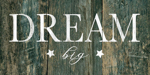 Dream Big White Modern Wood Framed Art Print with Double Matting by Robinson, Carol