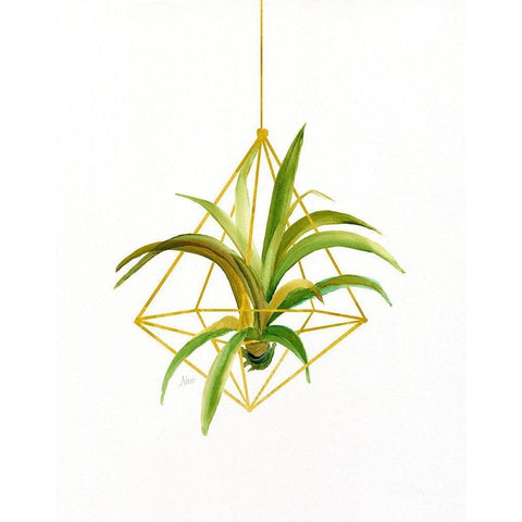 Hanging Airplant I Black Modern Wood Framed Art Print with Double Matting by Nan