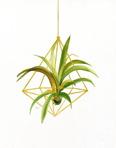 Hanging Airplant I White Modern Wood Framed Art Print with Double Matting by Nan