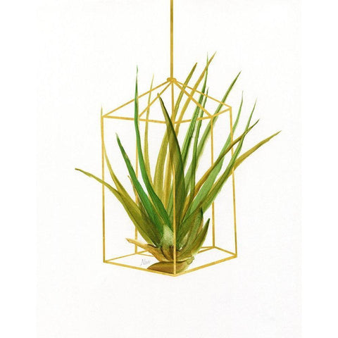 Hanging Airplant II Black Modern Wood Framed Art Print with Double Matting by Nan