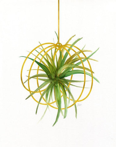 Hanging Airplant III Black Ornate Wood Framed Art Print with Double Matting by Nan