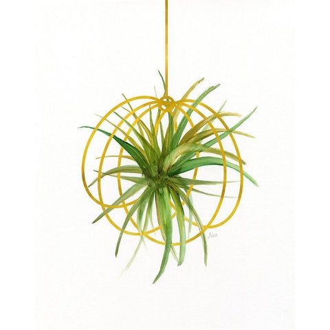 Hanging Airplant III Black Modern Wood Framed Art Print with Double Matting by Nan