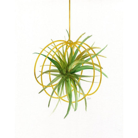 Hanging Airplant III Gold Ornate Wood Framed Art Print with Double Matting by Nan