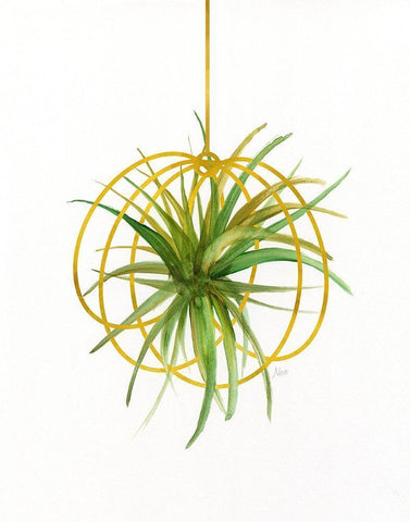 Hanging Airplant III White Modern Wood Framed Art Print with Double Matting by Nan