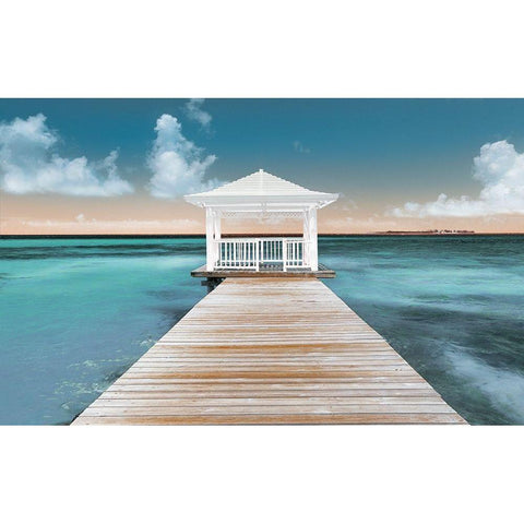 Nassau Point Black Modern Wood Framed Art Print with Double Matting by Adams, Peter