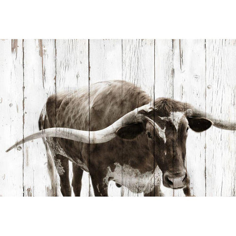 Longhorn Prize Gold Ornate Wood Framed Art Print with Double Matting by Downey, Mike