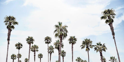 Laguna Beach Black Ornate Wood Framed Art Print with Double Matting by Carpentieri, Natalie