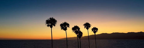 Dusk in Cali White Modern Wood Framed Art Print with Double Matting by Carpentieri, Natalie