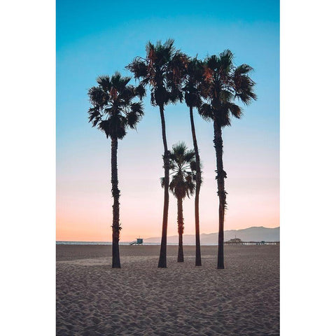 Santa Monica Palm Black Modern Wood Framed Art Print by Carpentieri, Natalie