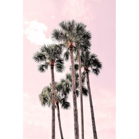 Pink Tropics Black Modern Wood Framed Art Print by Carpentieri, Natalie