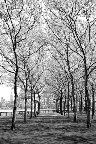 Pier a Park Black Ornate Wood Framed Art Print with Double Matting by Carpentieri, Natalie