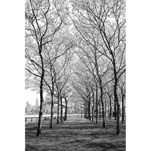 Pier a Park Black Modern Wood Framed Art Print with Double Matting by Carpentieri, Natalie
