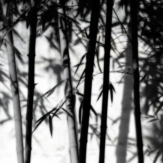 Image Only