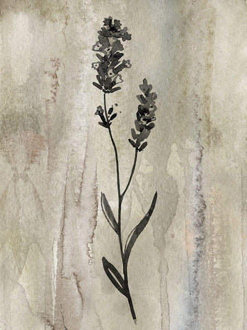 Sumi-e Silhouette II Black Ornate Wood Framed Art Print with Double Matting by Knutsen, Conrad