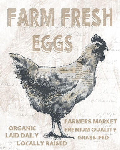 Farm Fresh Chicken White Modern Wood Framed Art Print with Double Matting by Knutsen, Conrad