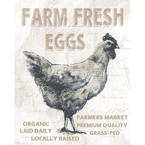 Farm Fresh Chicken White Modern Wood Framed Art Print by Knutsen, Conrad