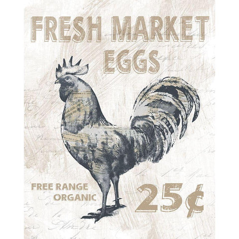 Fresh Market Rooster White Modern Wood Framed Art Print by Knutsen, Conrad