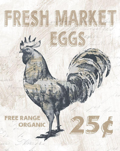 Fresh Market Rooster White Modern Wood Framed Art Print with Double Matting by Knutsen, Conrad