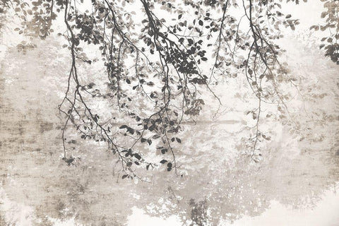 Taupe Soft Reflection Black Ornate Wood Framed Art Print with Double Matting by Weisz, Irene