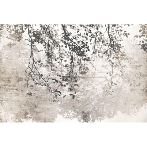 Taupe Soft Reflection Black Modern Wood Framed Art Print with Double Matting by Weisz, Irene