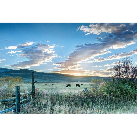 Ranch Sunrise Black Modern Wood Framed Art Print with Double Matting by Delimont, Danita