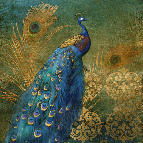Peacock Bliss Black Ornate Wood Framed Art Print with Double Matting by Nan