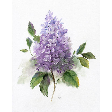 Lilac Romance I White Modern Wood Framed Art Print by Nan