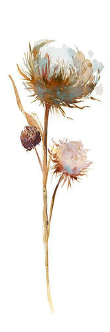 Fall Sketchbook I White Modern Wood Framed Art Print with Double Matting by Troise Heidel, Theresa