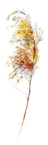 Fall Sketchbook II White Modern Wood Framed Art Print with Double Matting by Troise Heidel, Theresa