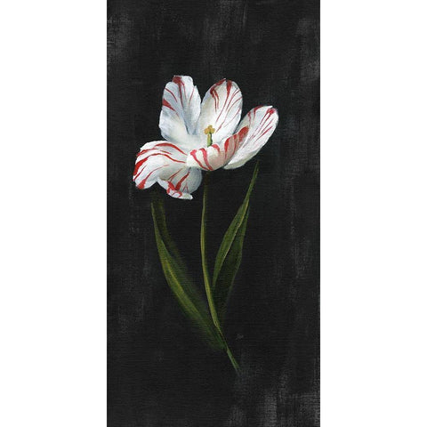 Master Botanical I White Modern Wood Framed Art Print by Nan