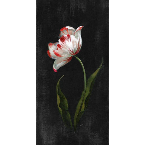 Master Botanical II Black Modern Wood Framed Art Print with Double Matting by Nan