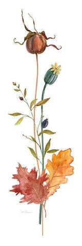 Autumn Botanical IV Black Ornate Wood Framed Art Print with Double Matting by Robinson, Carol