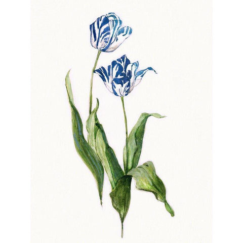 Blue Lively Botanical II White Modern Wood Framed Art Print by Swatland, Sally