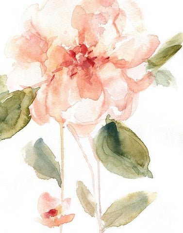 Single Perfect Bloom I Black Ornate Wood Framed Art Print with Double Matting by Robinson, Carol