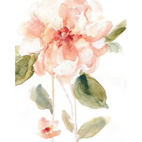 Single Perfect Bloom I Black Modern Wood Framed Art Print by Robinson, Carol